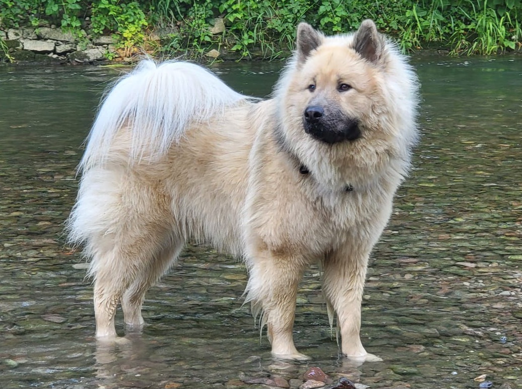 JERCY vom Rhein-Neckar-Dreieck