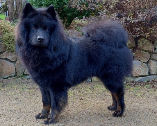 FINN von den Mühlbachauen